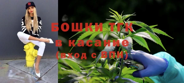сатива Кинешма