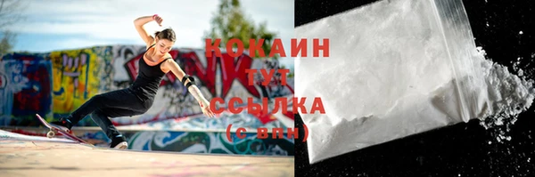 сатива Кинешма