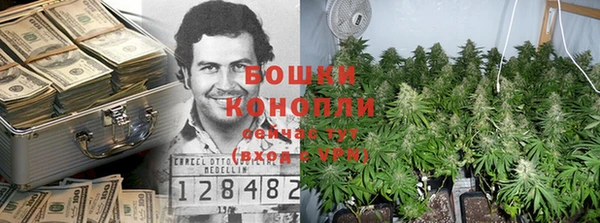 сатива Кинешма