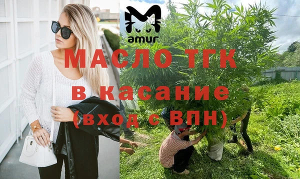 сатива Кинешма