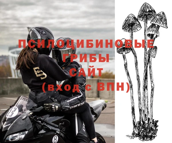 сатива Кинешма